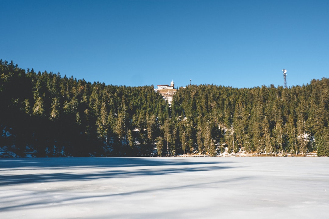 Mummelsee: Ein Naturparadies im Herzen des Schwarzwalds - Seebach | Secret World Trip Planner