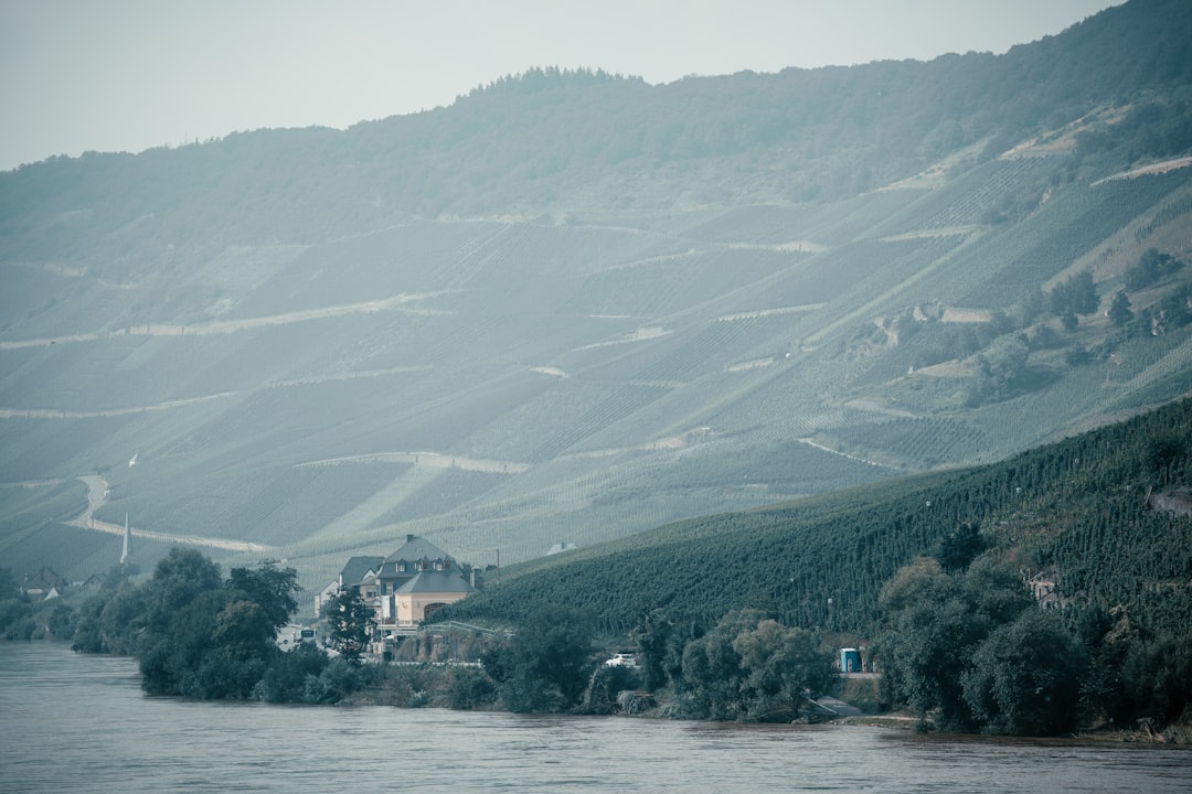Исследуя долину реки Мозель в Бернкастель-Кюс - Bernkastel-Kues | Secret World Trip Planner