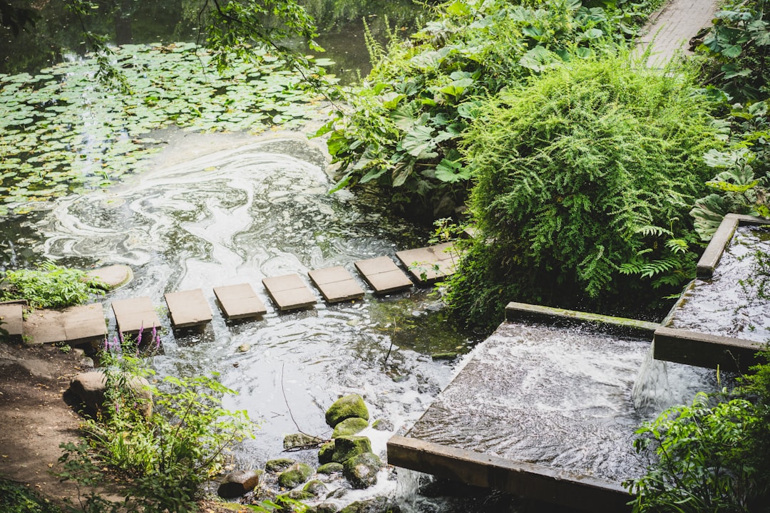 Planten un Blomen: eine Oase der Natur in Hamburg - Hamburg | Secret World Trip Planner