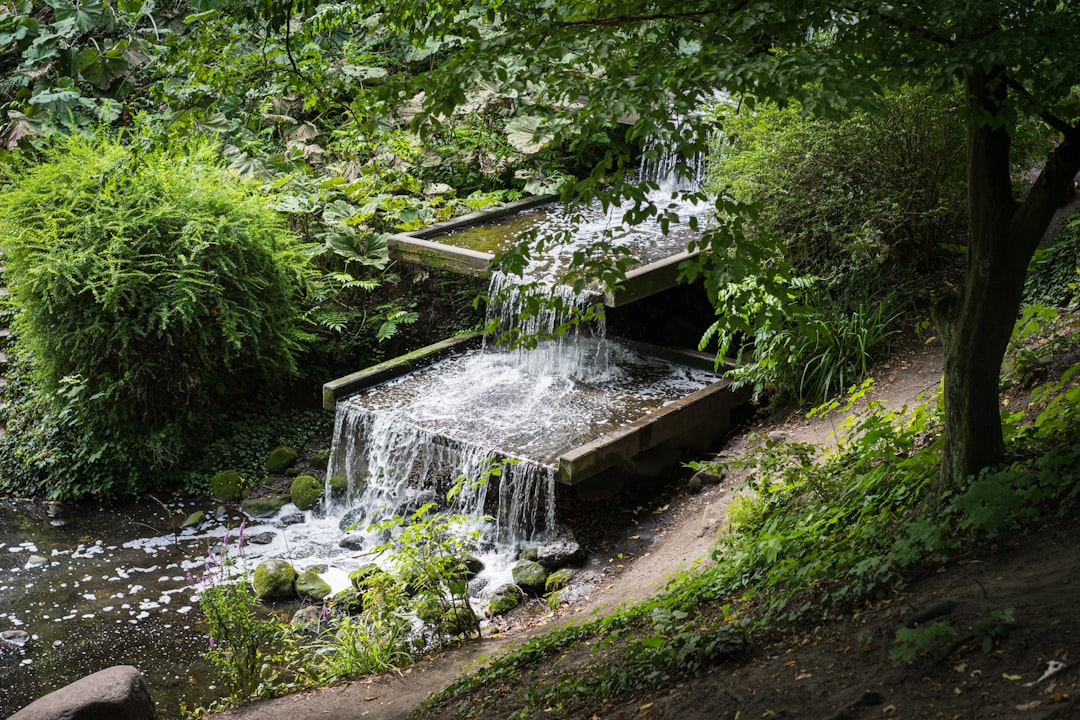 Planten un Blomen: un rincón de naturaleza en Hamburgo - Hamburg | Secret World Trip Planner