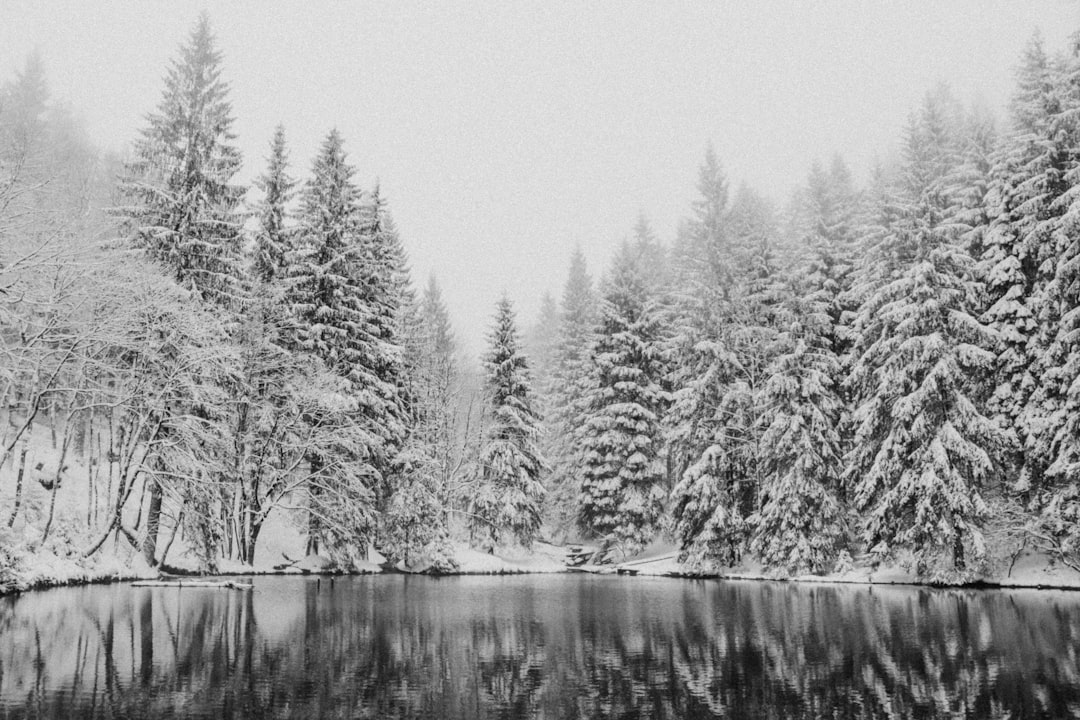 Scopri il Thüringer Wald: un gioiello naturale in Germania — Oberhof