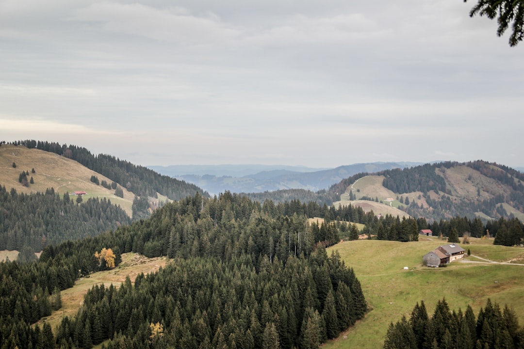 Discover the Rennsteig Ridge: A Trail of Nature and History in Thuringia — Neuhaus am Rennweg