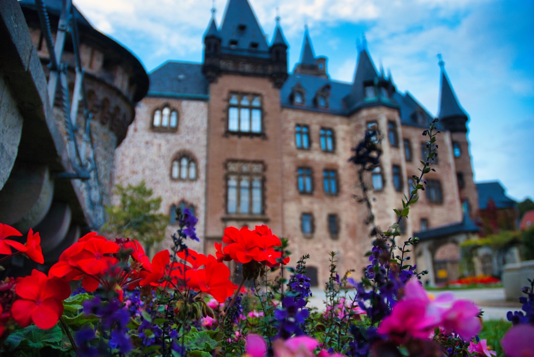 Descubra o Castelo de Wernigerode: uma joia da Saxônia-Anhalt — Wernigerode