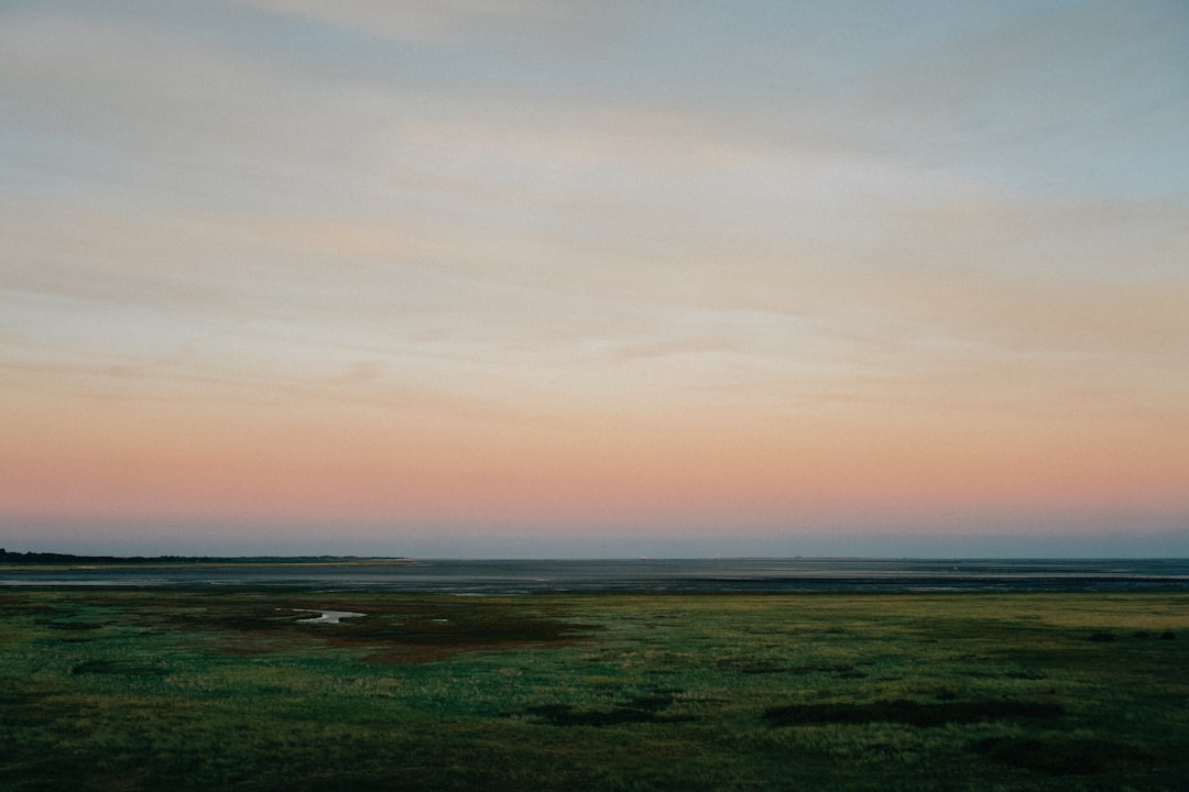 Descubra o Parque Nacional Wattenmeer em Cuxhaven: um tesouro natural — Cuxhaven