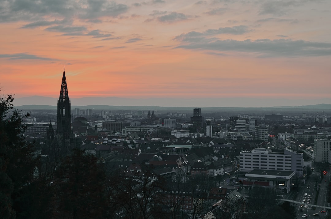 Entdecken Sie Freiburg Münster: kulturelles Juwel in Deutschland - Freiburg im Breisgau | Secret World Trip Planner