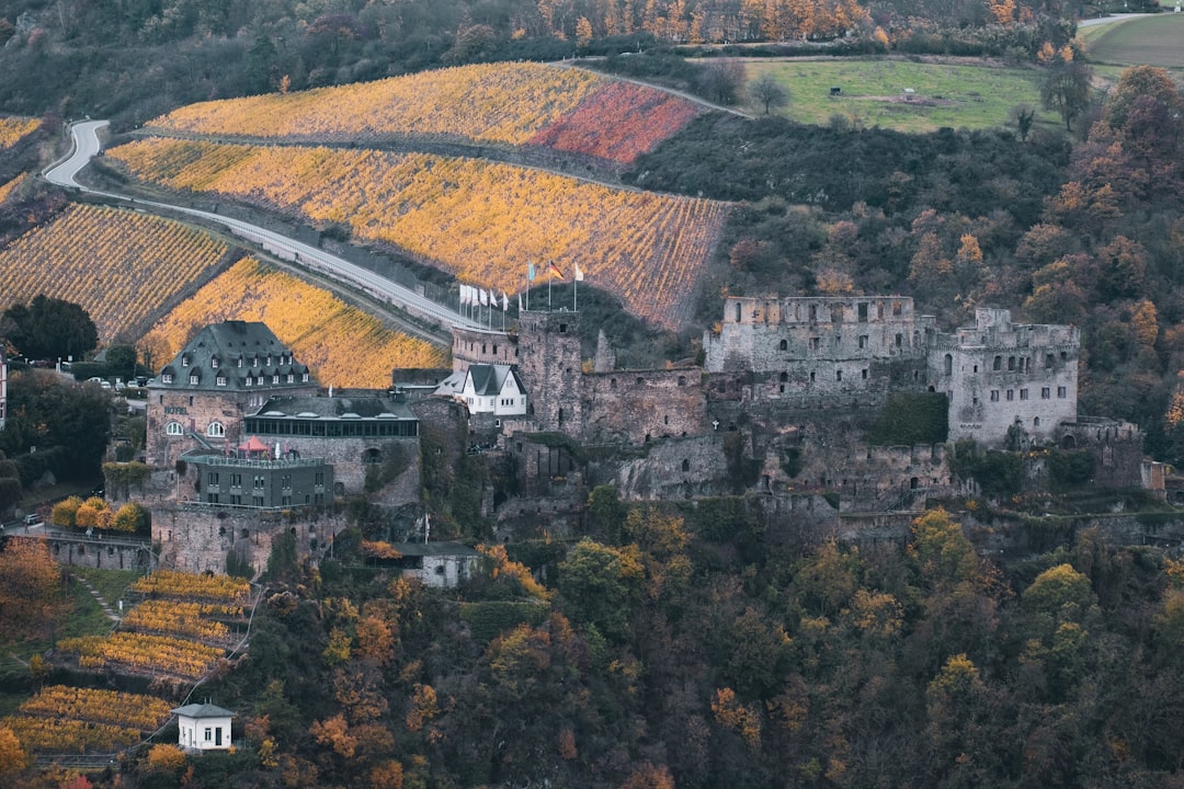 Découvrez le Château de Rheinfels : Histoire et Beauté sur le Rhin - Sankt Goar | Secret World Trip Planner