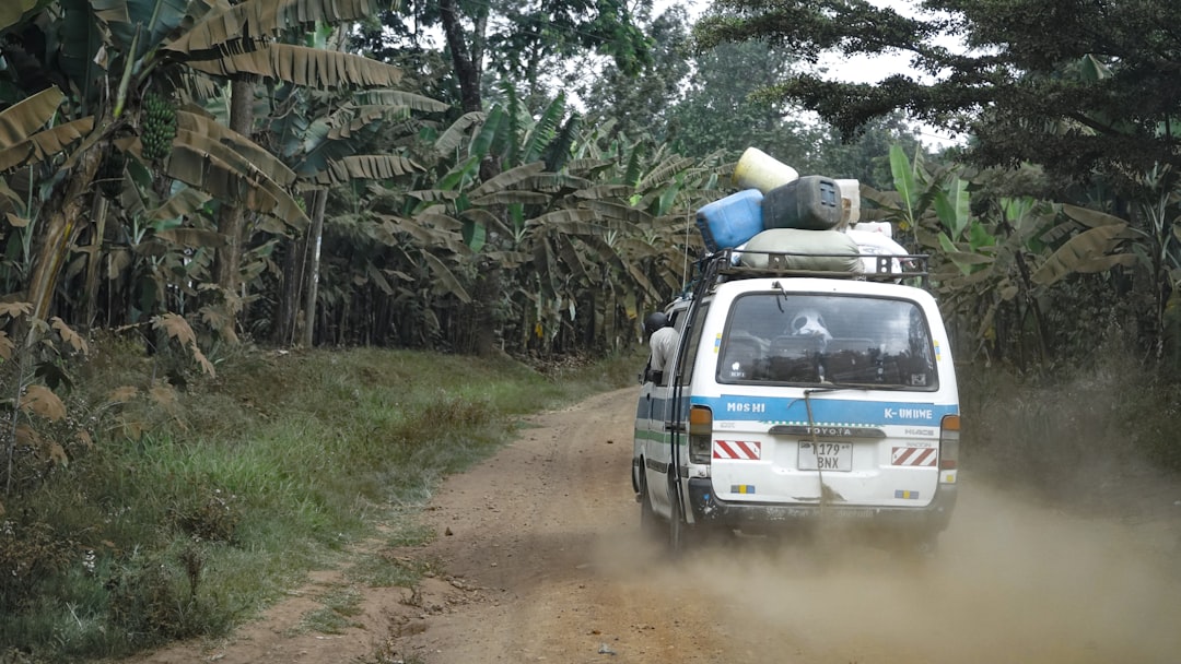 Sentiers époustouflants à Moshi : Aventures au Kilimandjaro — Moshi