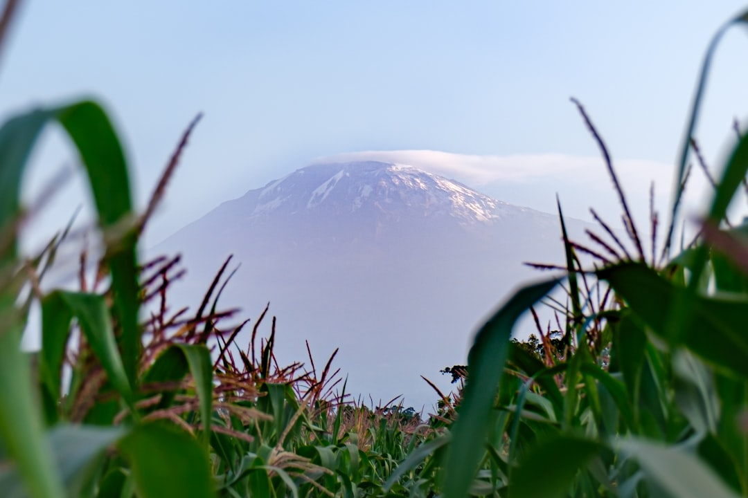 Sentiers époustouflants à Moshi : Aventures au Kilimandjaro - Moshi | Secret World Trip Planner