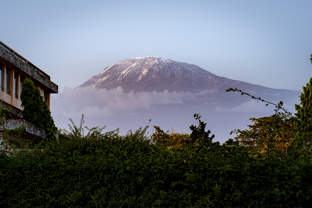 Sentiers époustouflants à Moshi : Aventures au Kilimandjaro - Moshi | Secret World Trip Planner