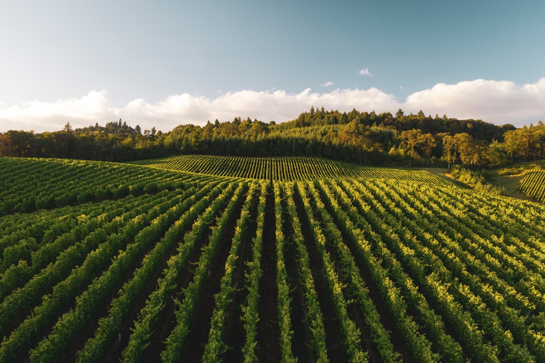 Willamette Valley : Le Paradis du Pinot Noir - Willamette Valley | Secret World Trip Planner
