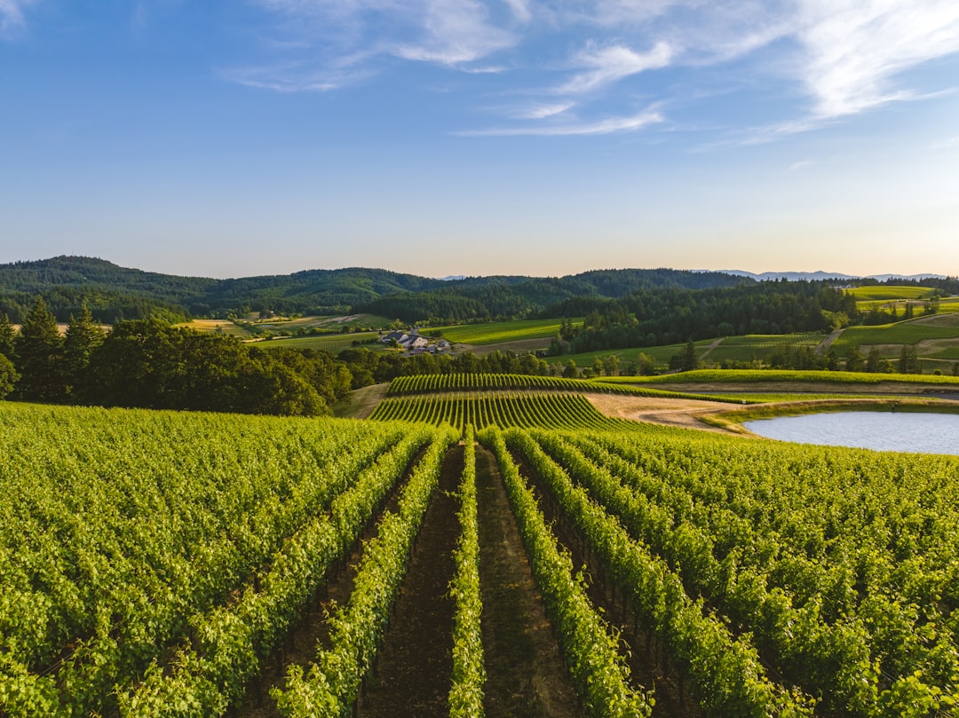 Willamette Valley : Le Paradis du Pinot Noir - Willamette Valley | Secret World Trip Planner
