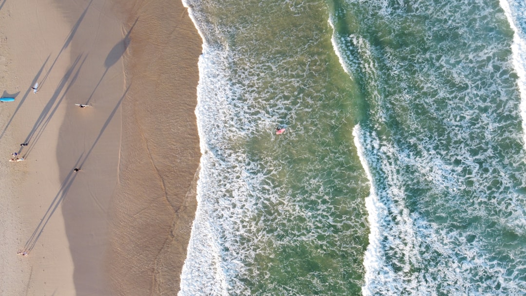 Sculpture by the Sea: Art Along Bondi Coast - Bondi Beach Nuovo Galles del Sud 2026 | Secret World Trip Planner