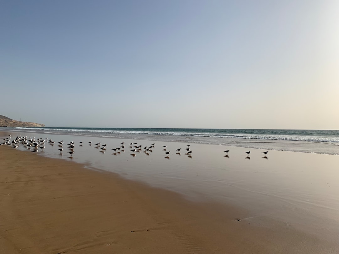 Discover Tan Tan Plage: the Coastal Gem of Morocco - FMX8+CF3 | Secret World Trip Planner