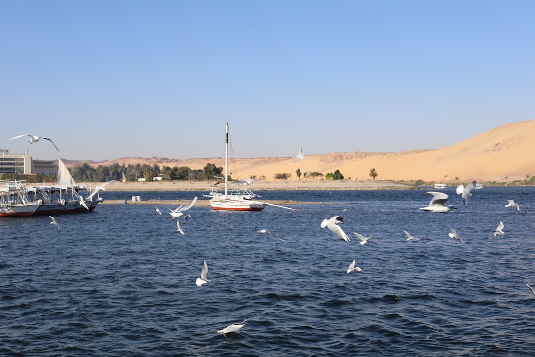 Madinat Coraya: Un Paradiso sul Mar Rosso - Marsa Alam | Secret World Trip Planner