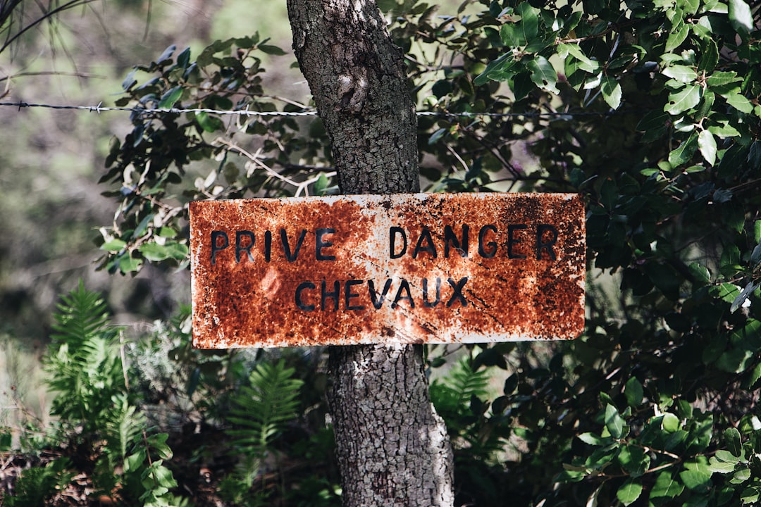Scandola Reserve: A Natural Paradise in Corsica - Osani | Secret World Trip Planner