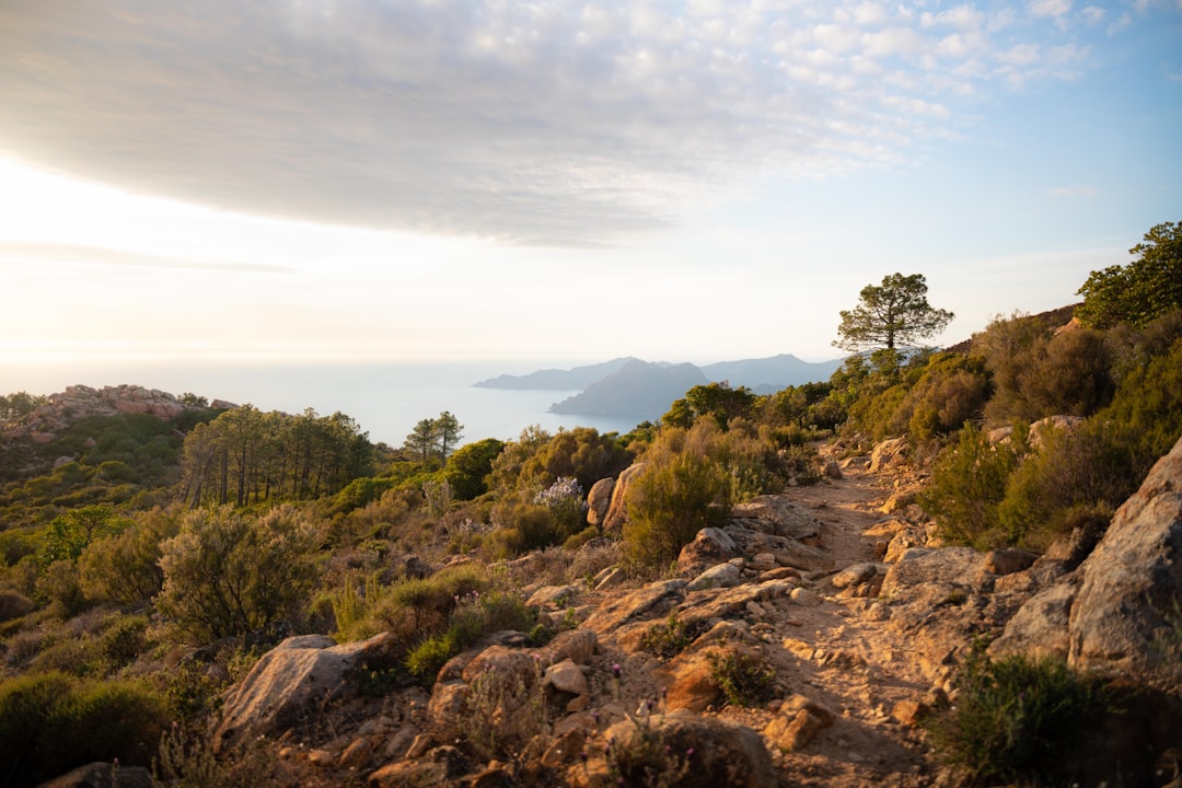 Scopri le Calanques de Piana: un gioiello naturale in Corsica - Piana | Secret World Trip Planner