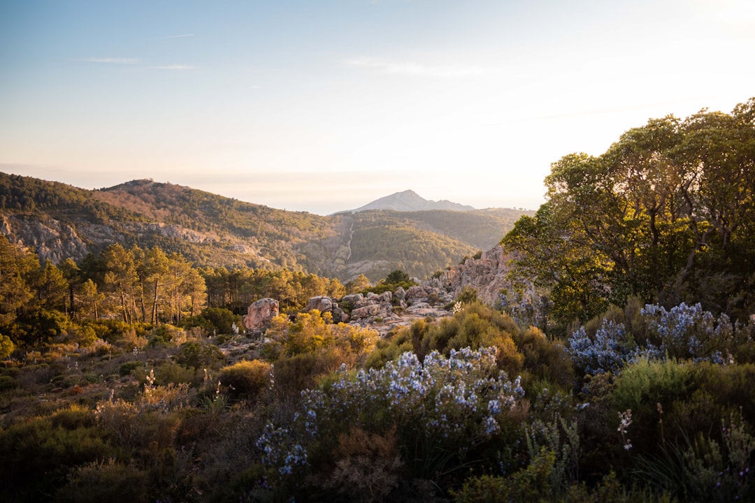 Scopri le Calanques de Piana: un gioiello naturale in Corsica - Piana | Secret World Trip Planner