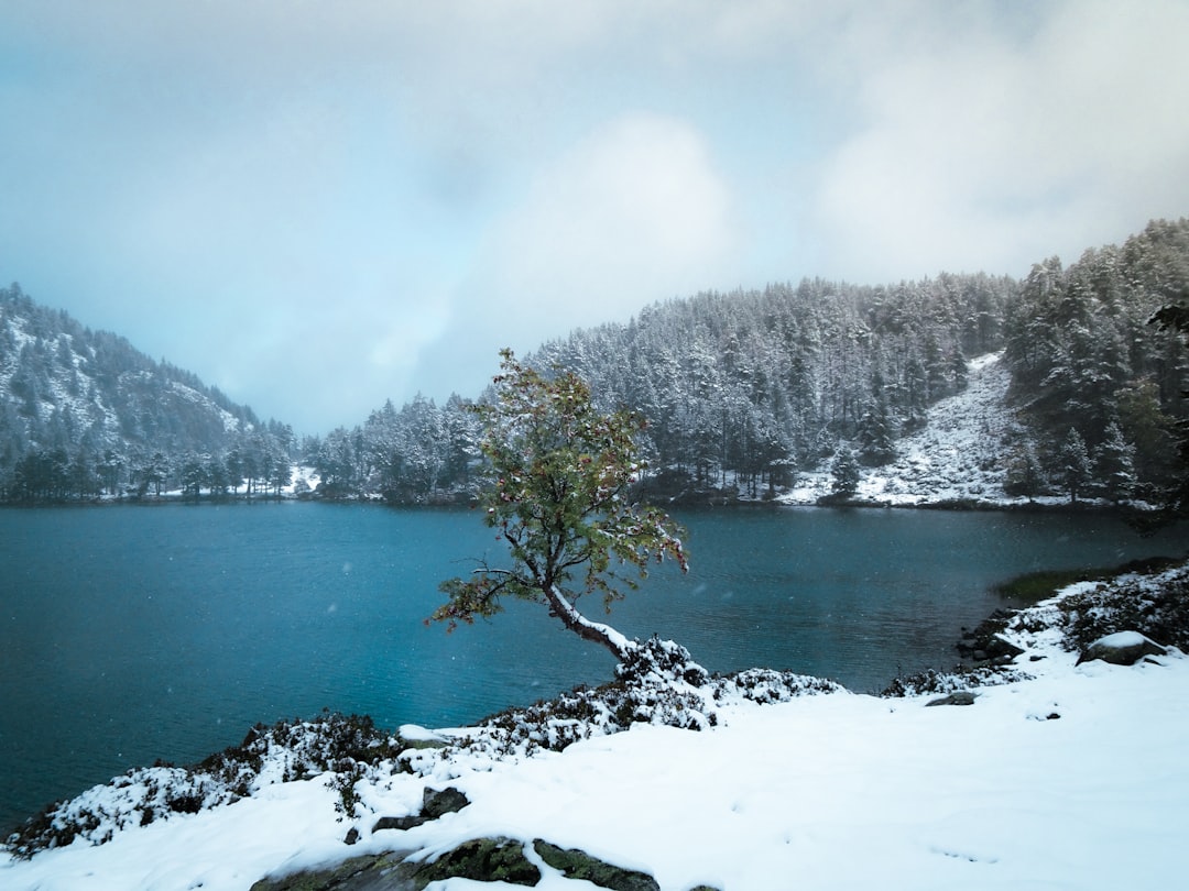 Explore Lac de Nino: A Natural Gem in Corsica - Lozzi | Secret World Trip Planner