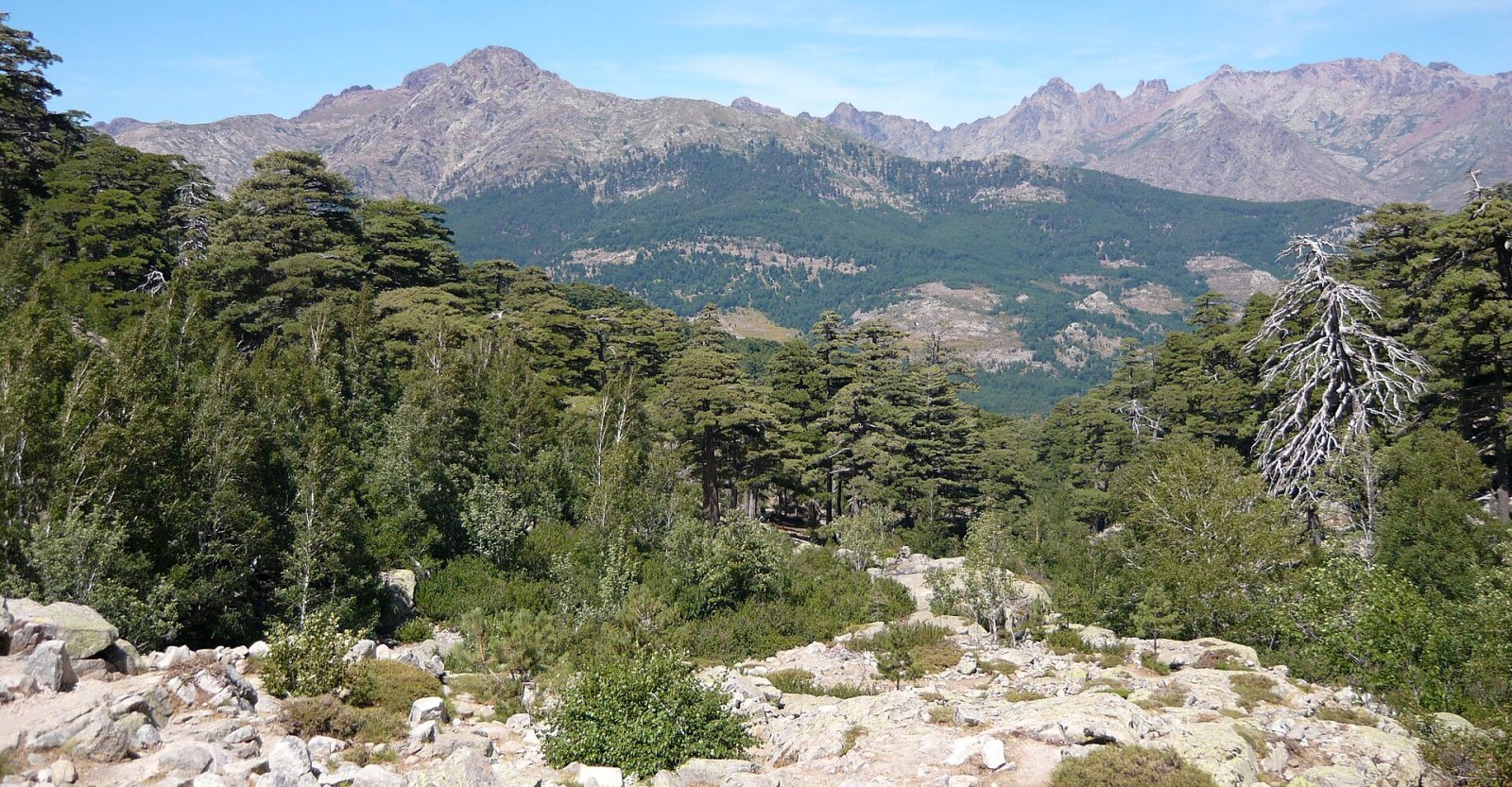 Explore Lac de Nino: A Natural Gem in Corsica - Lozzi | Secret World Trip Planner
