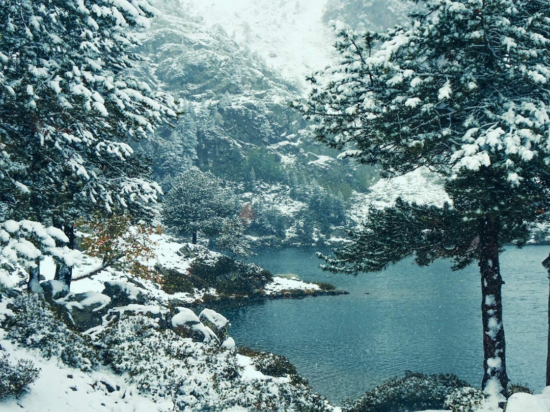 Explore Lac de Nino: A Natural Gem in Corsica - Lozzi | Secret World Trip Planner