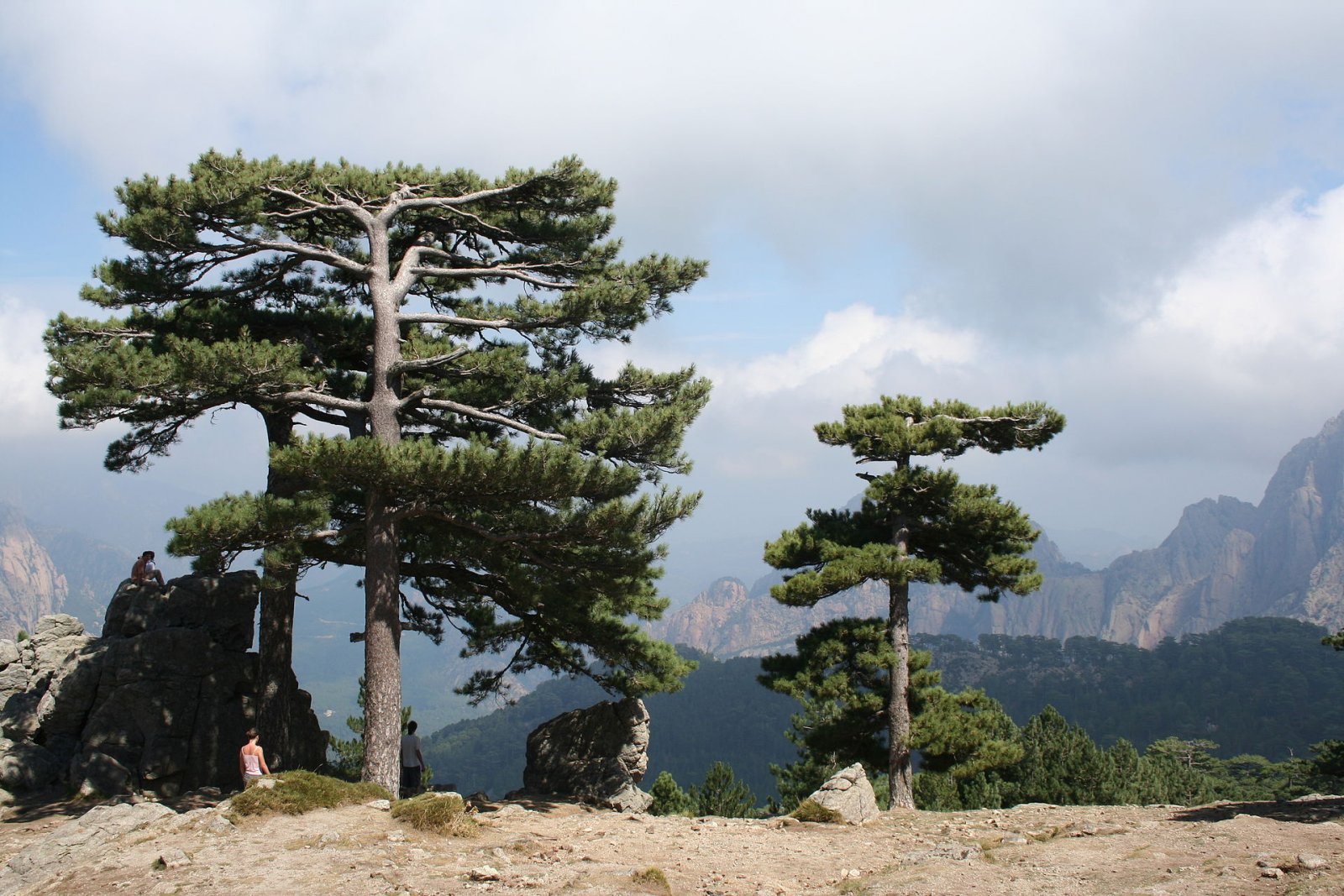 Descubra o Col de Bavella: um pedaço do paraíso na Córsega - Zonza | Secret World Trip Planner
