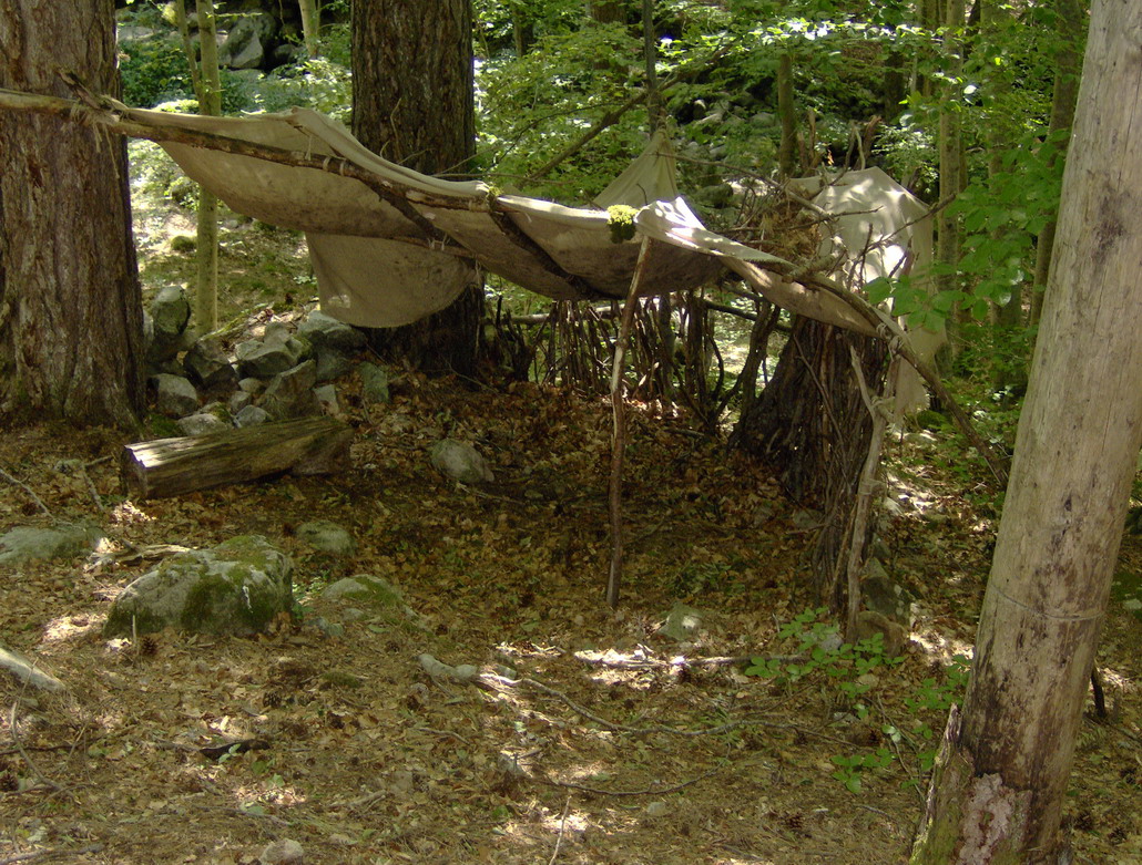 Discover the Magic of Forêt de Vizzavona in Corsica — Vivario