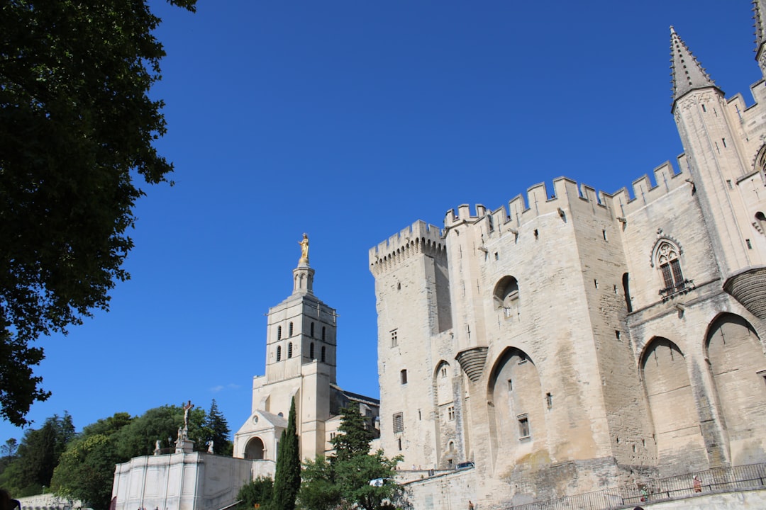 Scopri il Palais des Papes ad Avignone, un tesoro storico - Avignon | Secret World Trip Planner