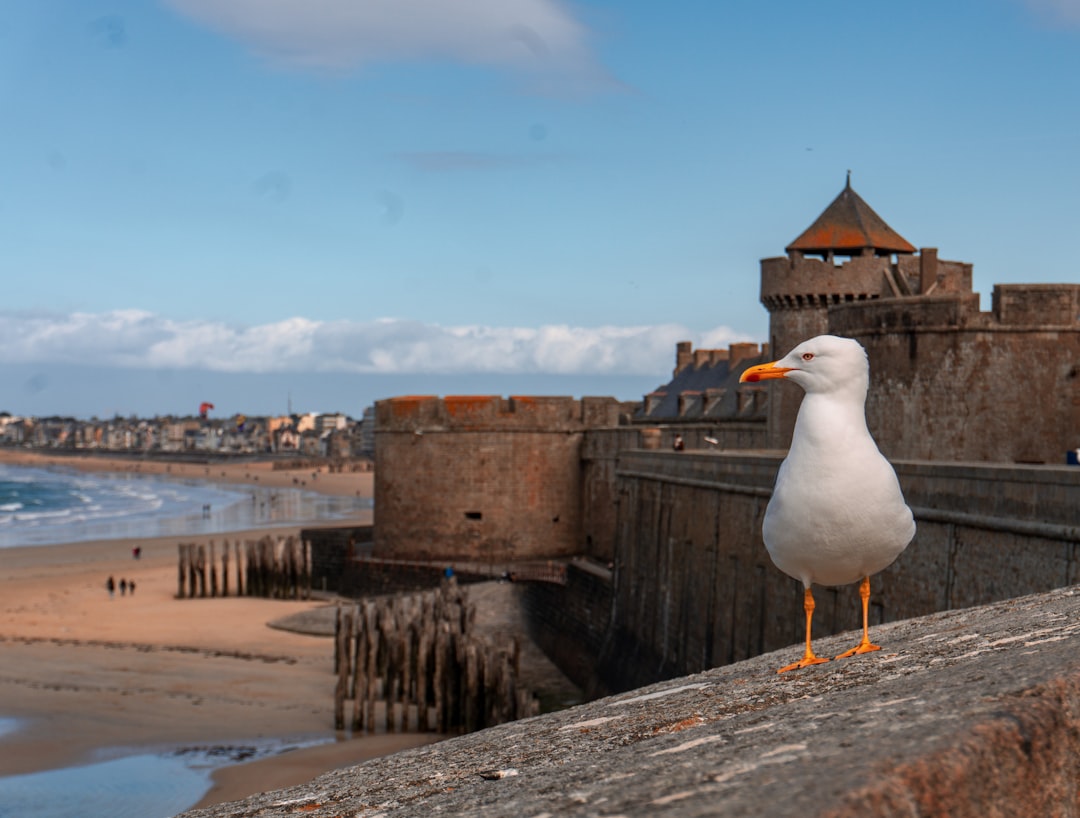 Scopri i Remparts de Saint-Malo: Storia e Bellezza della Bretagna - Pecqueuse | Secret World Trip Planner