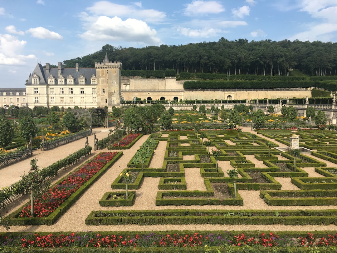 Scopri il Château de Villandry: storia e giardini incantevoli - Villandry | Secret World Trip Planner