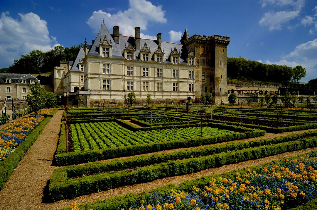 Discover Château de Villandry: History and Enchanting Gardens — Villandry