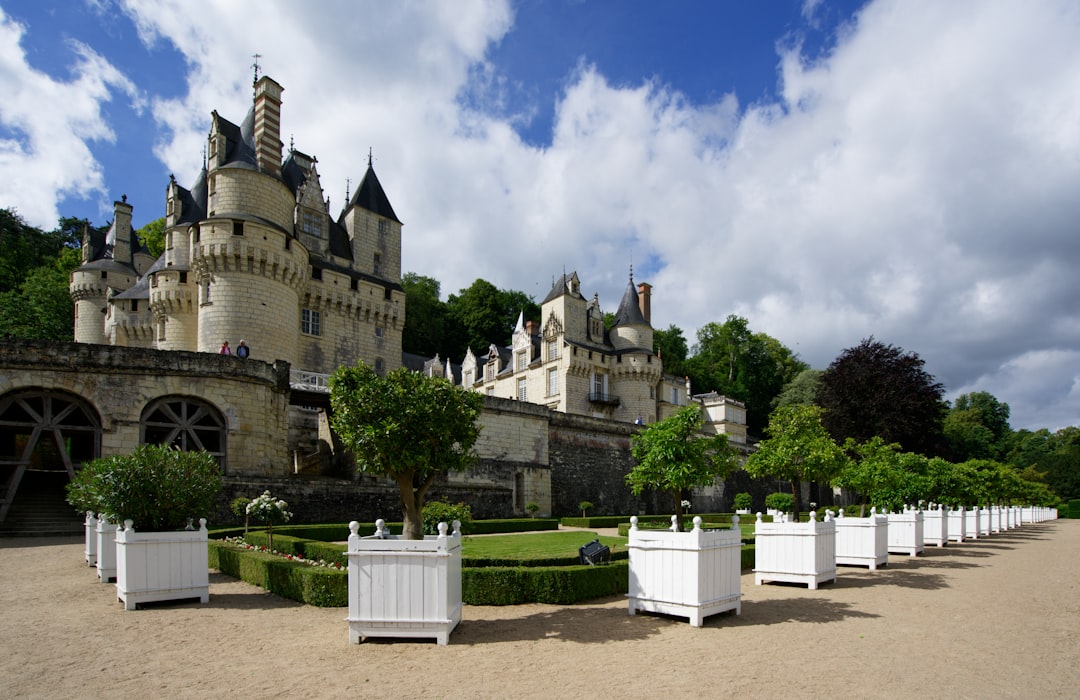 Découvrez le charme du Château d'Ussé : histoire et beauté - Rigny-Ussé | Secret World Trip Planner