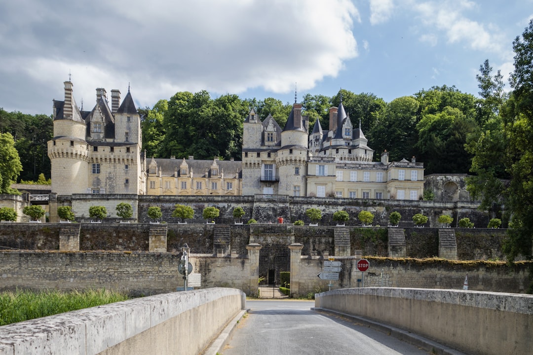 Descubra o encanto do Château d'Ussé: história e beleza — Rigny-Ussé