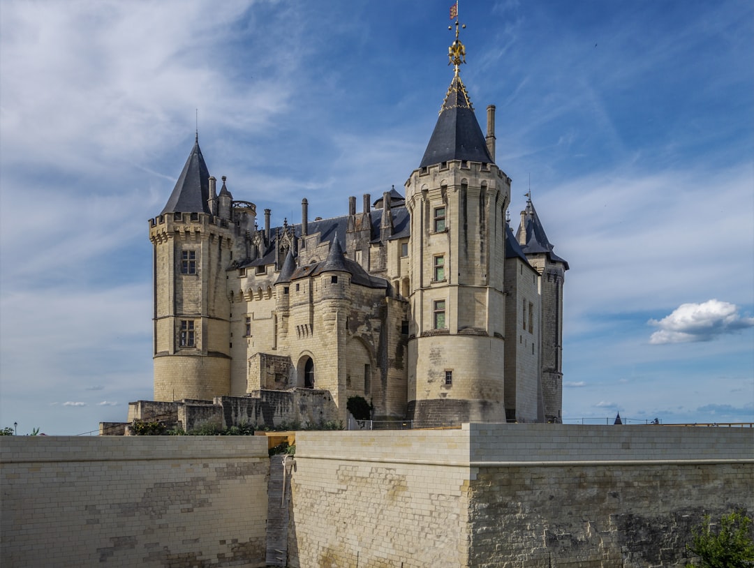 Découvrez le charme du Château de Saumur en France — Chouzé-sur-Loire