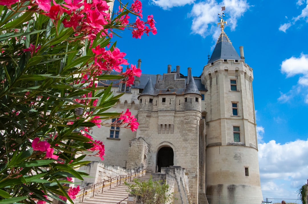 Descubra o encanto do Château de Saumur na França - Chouzé-sur-Loire | Secret World Trip Planner