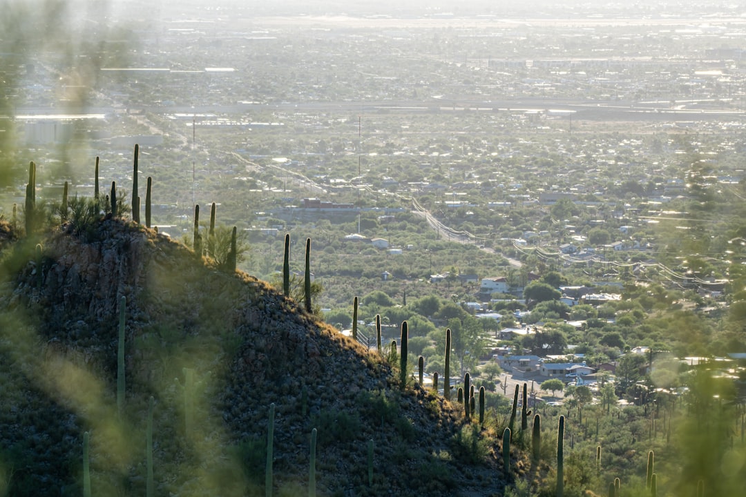 Osservatorio di Kitt Peak: il gigante degli astri - Tucson | Secret World Trip Planner