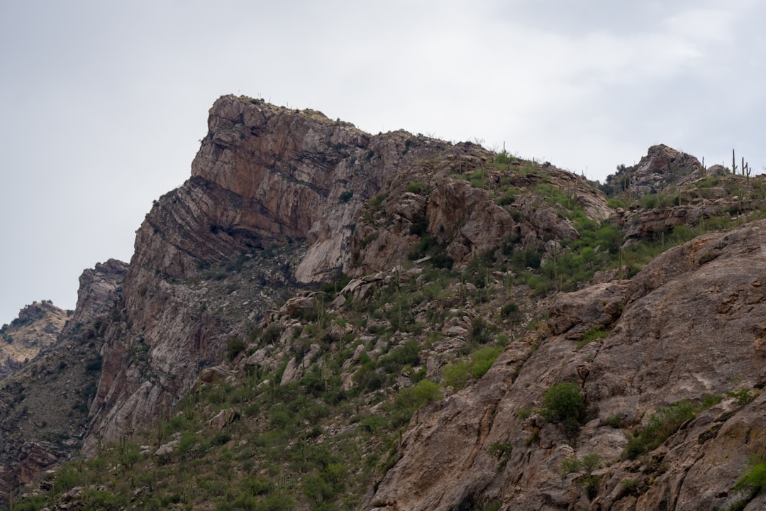 Kitt Peak Observatory: The Giant of the Stars - Tucson | Secret World Trip Planner