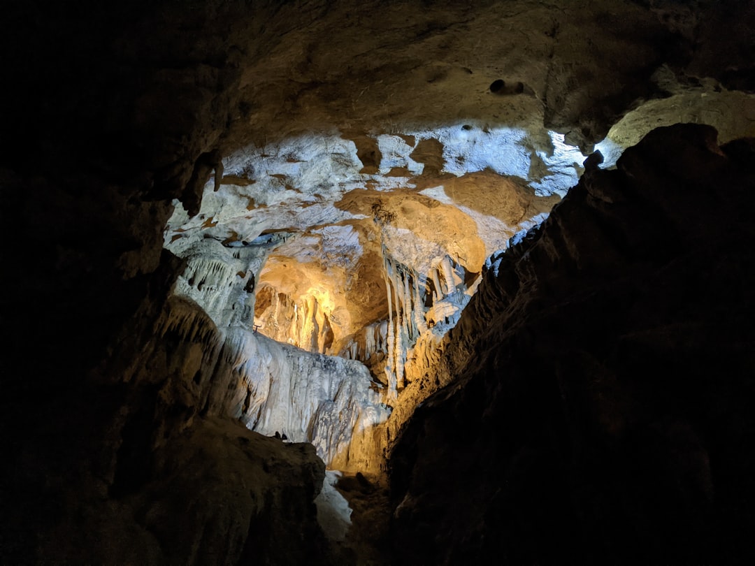 ラスコーの洞窟を発見：先史時代の宝物 - Montignac-Lascaux | Secret World Trip Planner