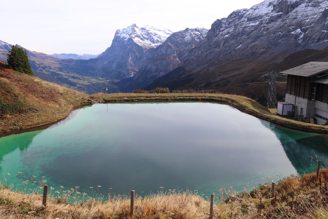 Kleine Scheidegg: Un Paraíso Natural en Suiza - Kleine Scheidegg | Secret World Trip Planner