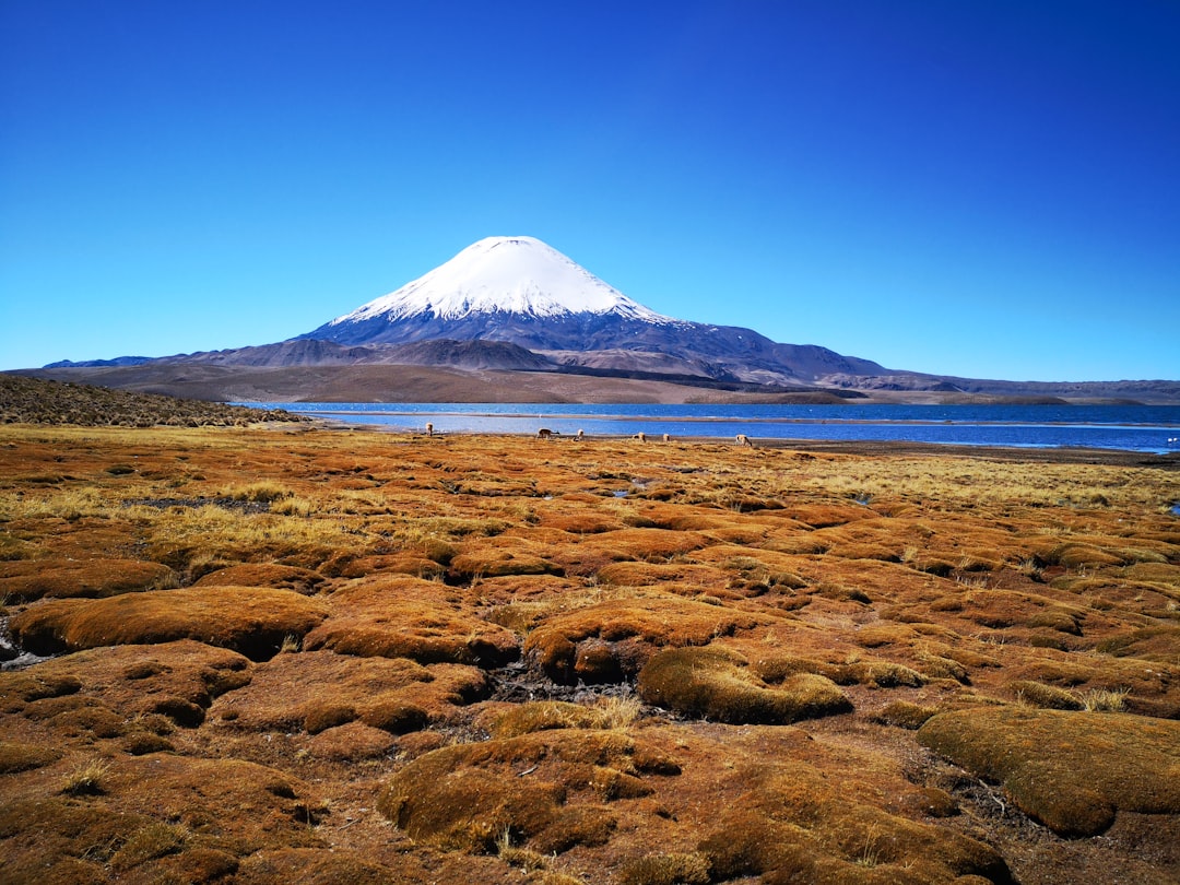 Parinacota: Der Verborgene Vulkan der Anden - Parinacota | Secret World Trip Planner