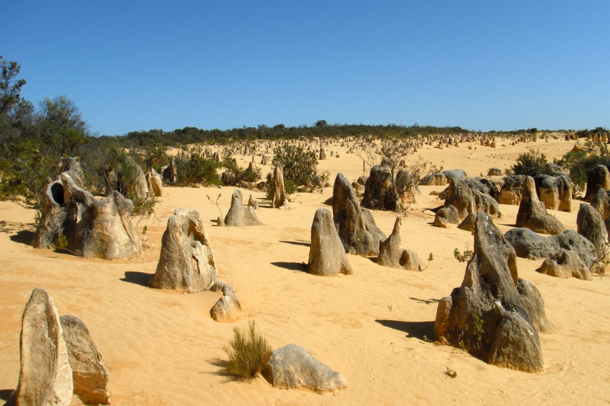 Deserto dei Pinnacoli: Un Paradiso Inesplorato in Australia - Nambung Australia Occidentale 6521 | Secret World Trip Planner