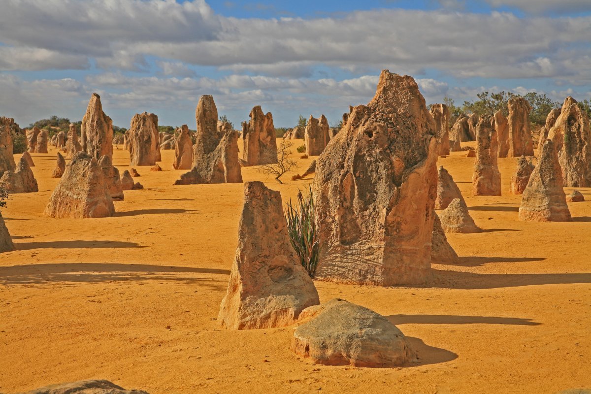 Desierto de los Pinnáculos: Un Paraíso Oculto en Australia - Nambung Australia Occidentale 6521 | Secret World Trip Planner