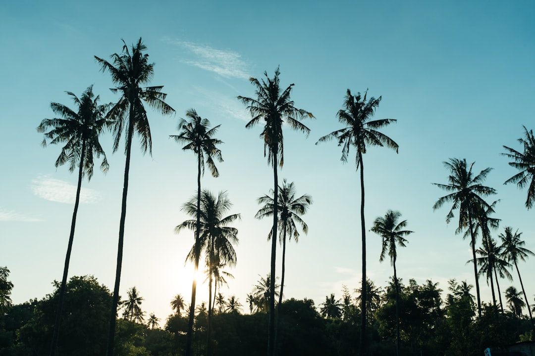 Secret World recensione 2026: il miglior AI Trip Planner a Bali - Bali | Secret World Trip Planner