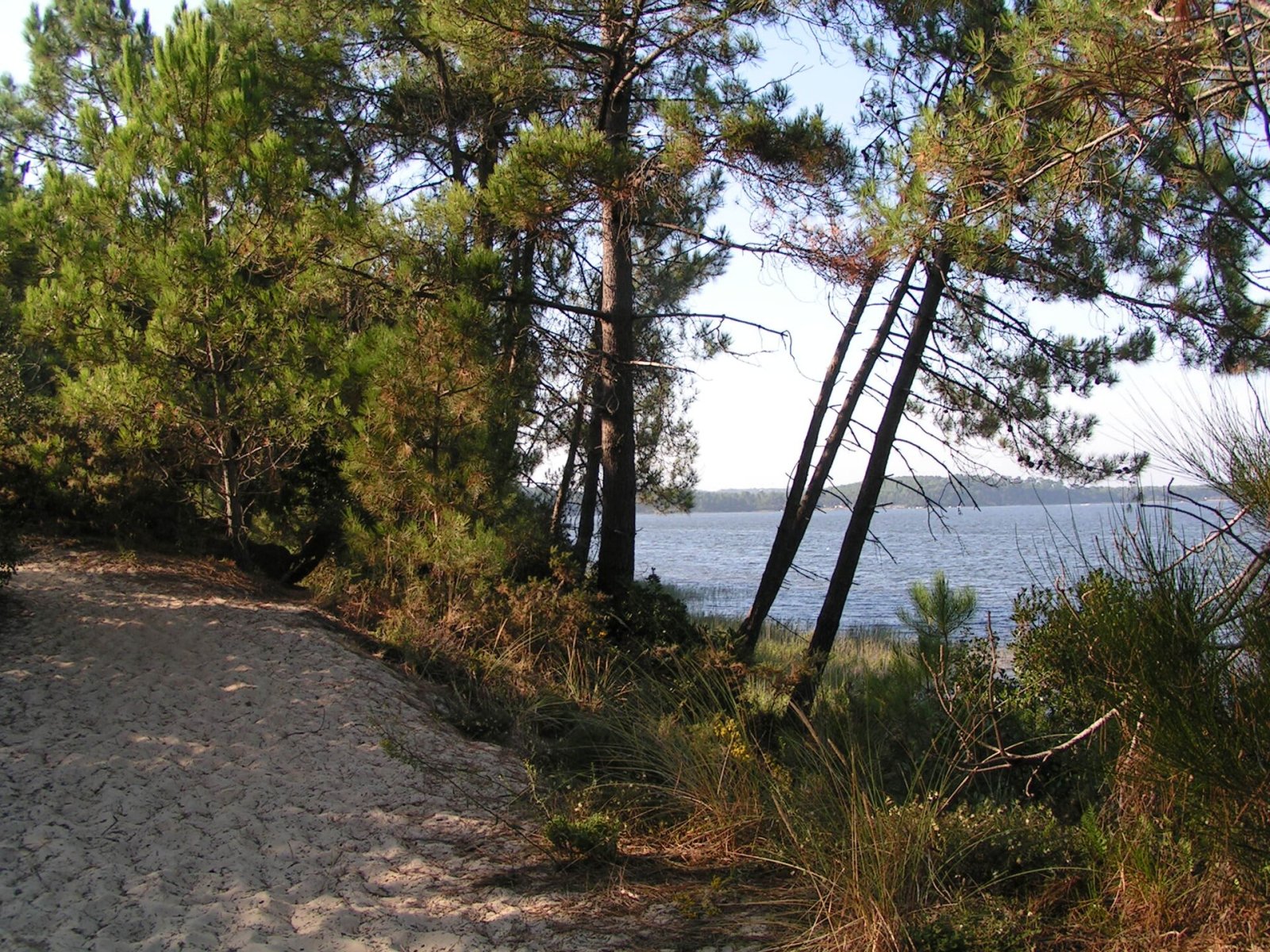 Descubra o Lac de Lacanau: Um canto da natureza na França - Marquay | Secret World Trip Planner