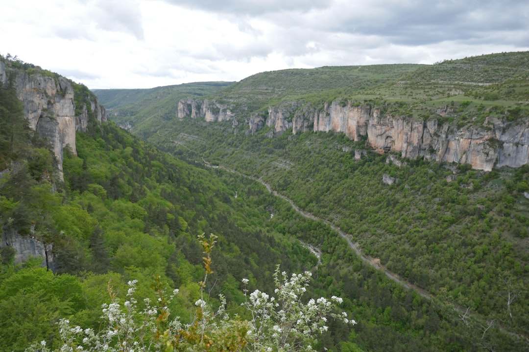 Gorges du Tarn: Um Paraíso Natural na Occitânia — Millau