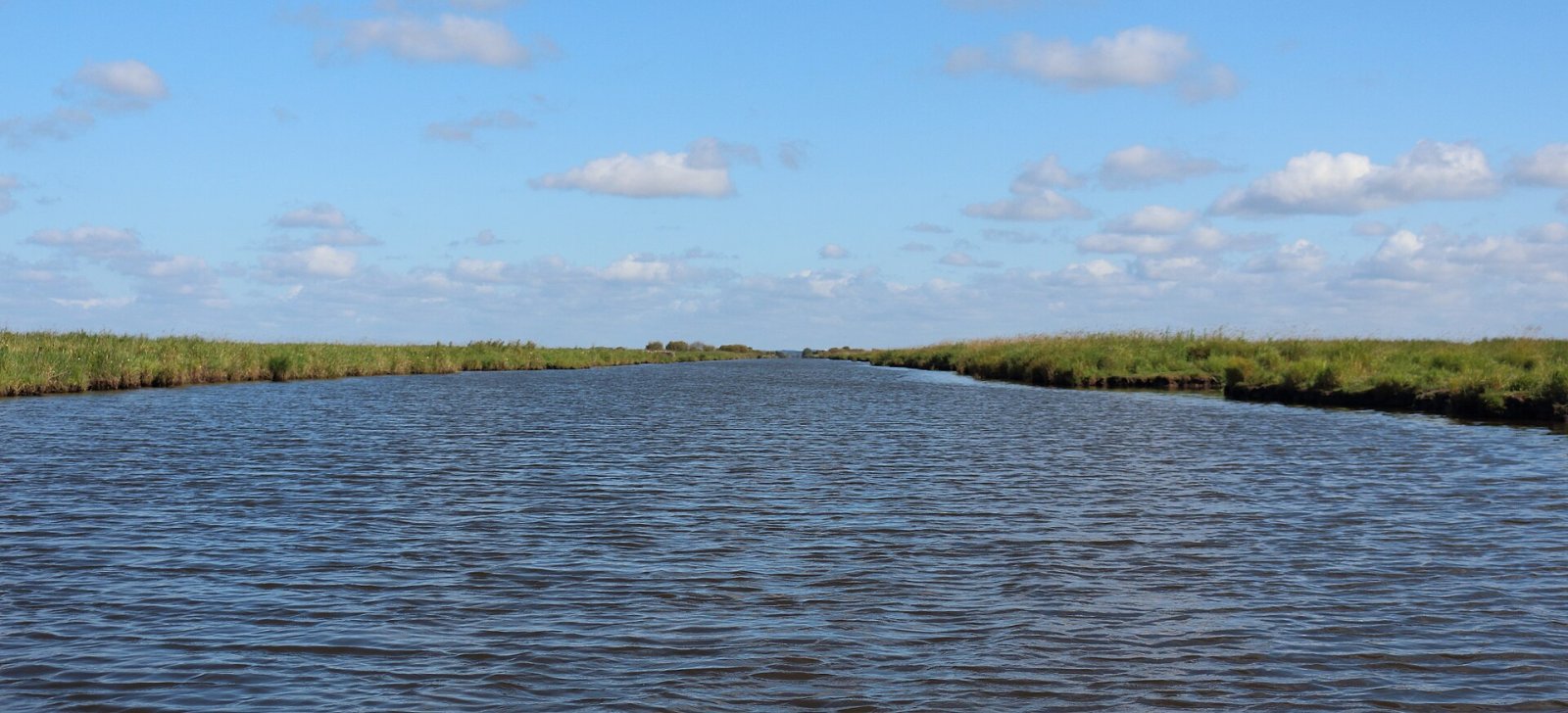 Discover the Marais de Brière: A Natural Haven in Saint-Nazaire - Nançay | Secret World Trip Planner