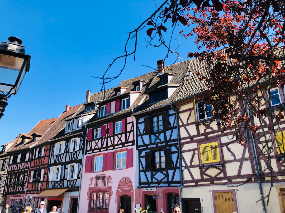 Discover the Alsace Wine Route in Colmar - Colmar | Secret World Trip Planner