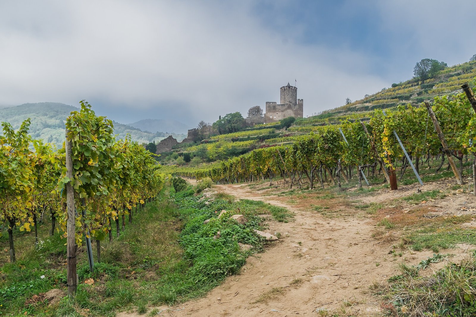 Découvrez le charme du Château de Kaysersberg en Alsace - Kaysersberg Vignoble | Secret World Trip Planner