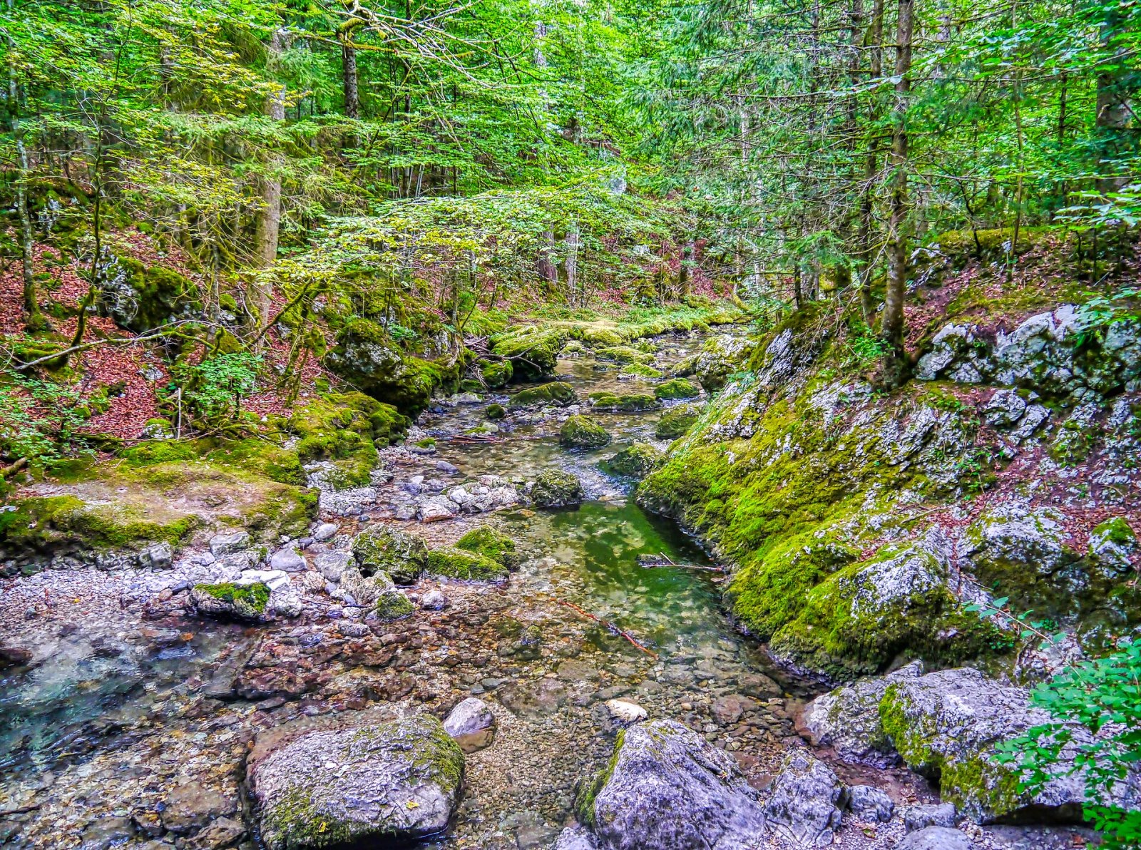 Scopri il Cirque de Saint-Même: un gioiello naturale in Francia — Plateau-des-Petites-Roches