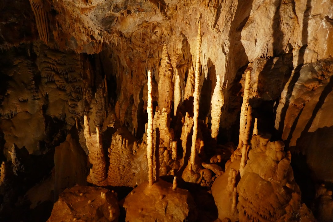Découvrez les Grottes de Villars : un trésor de la Nouvelle-Aquitaine — Champagnac-de-Belair