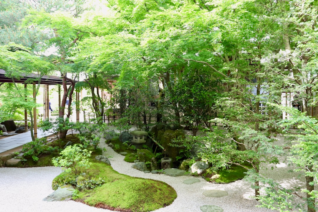 Découvrir le musée Adachi : un joyau culturel au Japon - Yasugi | Secret World Trip Planner